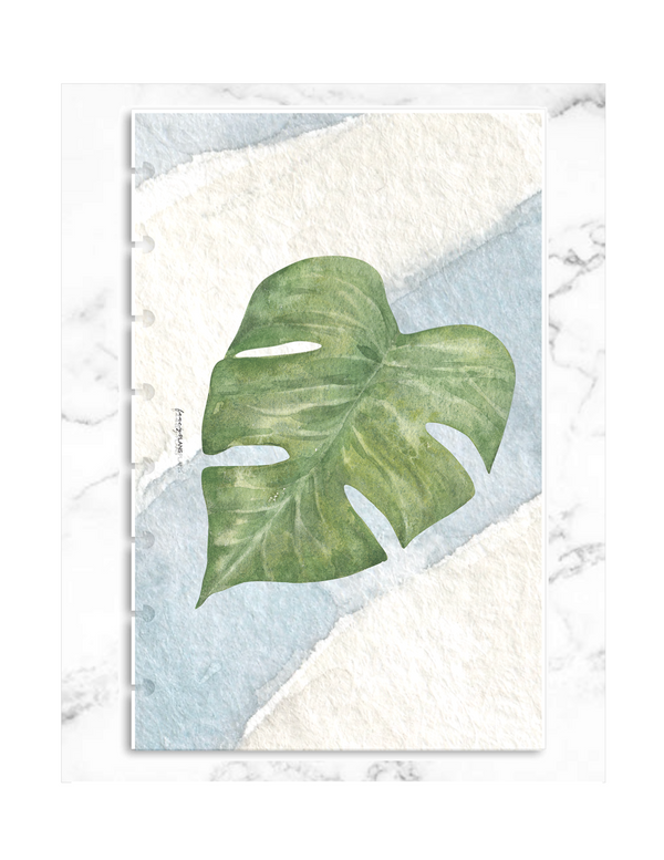 Atmospheric Summer Leaf | Vellum Dashboard
