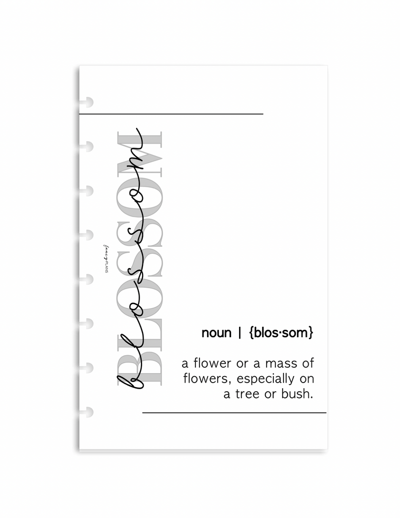 BLOSSOM | WOY Dashboard