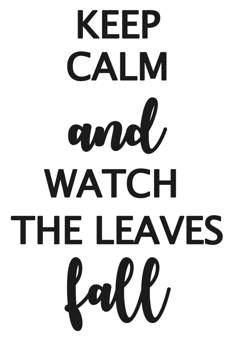 Plastic Inspiration Card | Keep Calm And Watch Leaves Fall