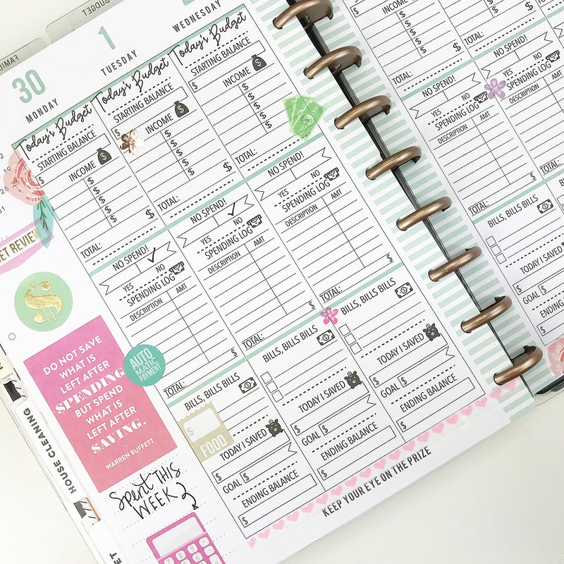 Budget Planner, Printable Agenda Pages, Letter and A4 Rings or Discs, Large  Discs Inserts, Big Happy Planner PBUD-1200-L, Instant Download 