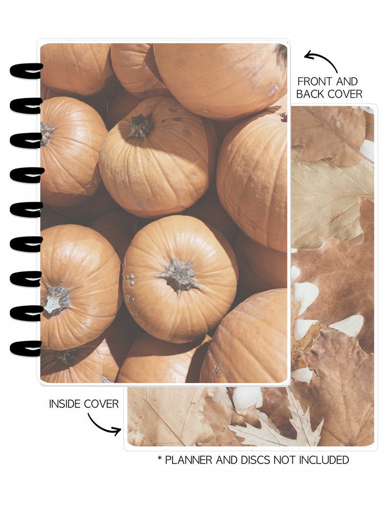 Cover Set of 2 AESTHETIC FALL Pumpkins