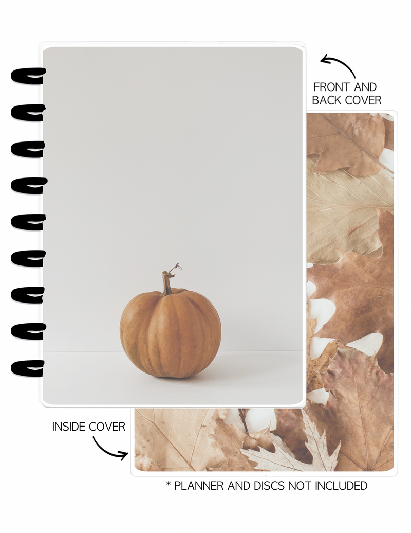 Cover Set of 2 AESTHETIC FALL Single Pumpkin