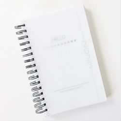 Coiled Yearly Planner | FROSTED COVER