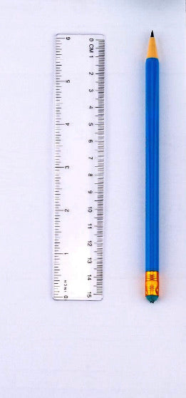 6in. Clear Ruler