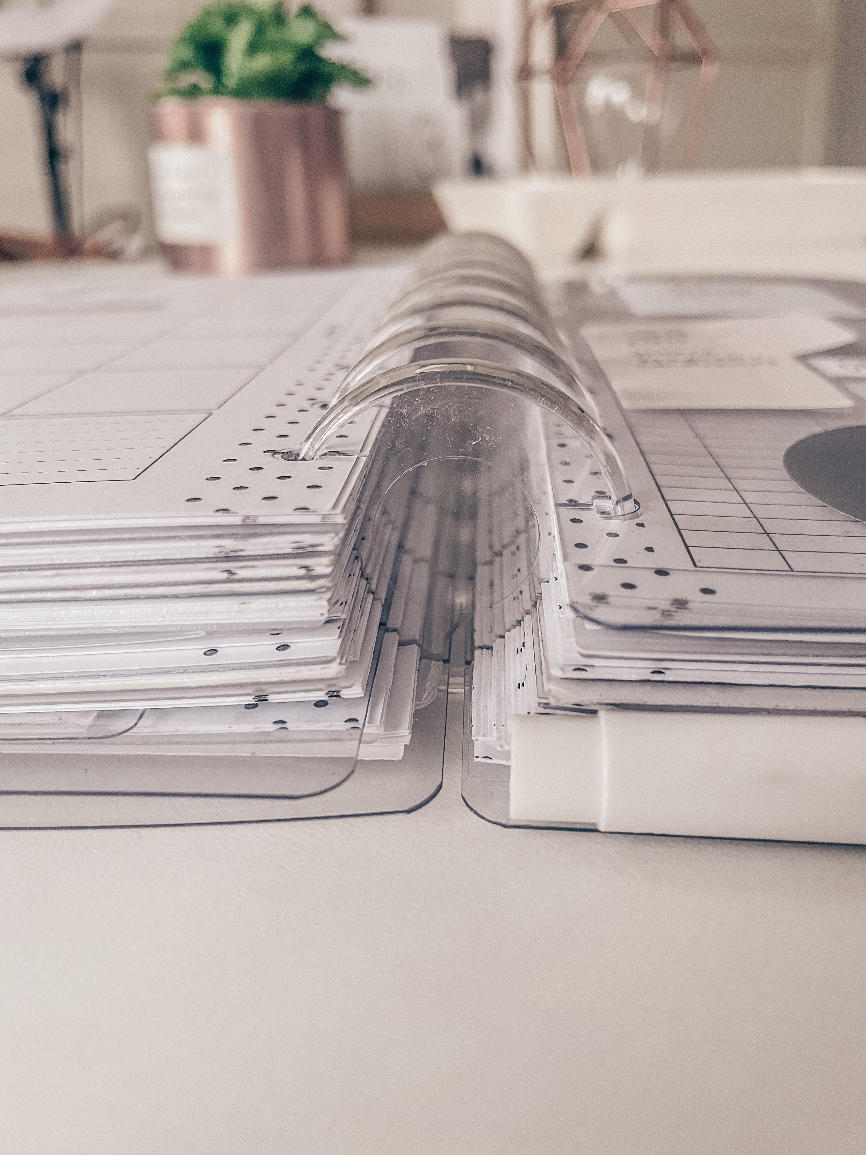 Planner Discs | Crystal Clear Transparent – Fancy Plans Co